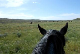 Rustic Cabin Rental with Private Deck near Billings, Montana - 4