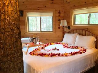 Stunning Tree House Rental in the Forest near Beckley, West Virginia - 9
