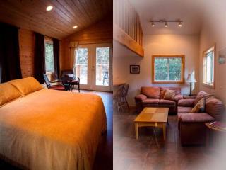 Rustic Log Cabin on the Banks of Kenai Lake, Alaska - 1