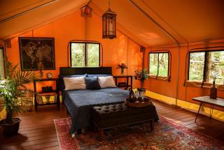Luxury Safari Style Tents for Getaways in Pennsylvania - 6