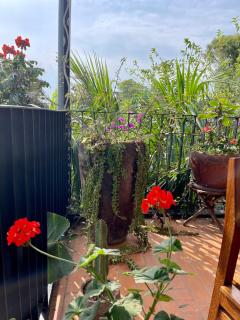 Eagle View Lodge - Kigali - 1