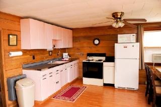 Idyllic Cabin Rental for the Perfect Summer Vacation on Clear Lake in Michigan - 3