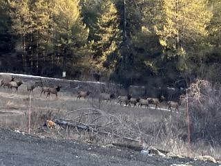 Tiny Caravan Great for Couples with Landscape Views in Idaho - 1