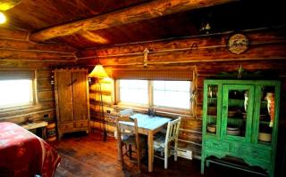 Rustic Log Cabin with Stone Shower near Mesa Verde National Park, Colorado - 9
