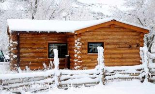 Rustic Log Cabin with Stone Shower near Mesa Verde National Park, Colorado - 4