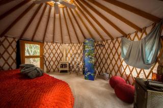 Elegant Yurt Tucked Beneath Oak Trees on Southern California Ranch - 1