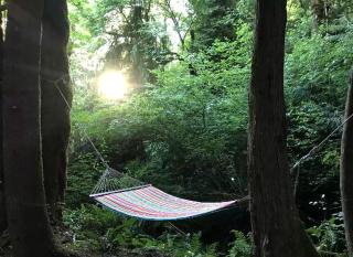 Rustic Cabin Perfect for a Secluded Weekend Getaway in Rhododendron, Oregon - 5
