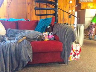 Dog-Friendly Chalet Rental near Whiteface Mountain and Lake Placid, New York - 2