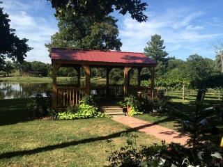 Rustic Cabin Rental with a Fishing Pond in Allen, Oklahoma - 6