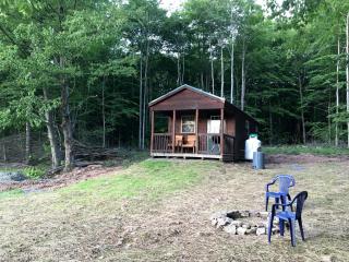 Log Cabin for Family Glamping Vacation near Cherry Springs State Park, Pennsylvania - 3
