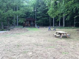 Log Cabin for Family Glamping Vacation near Cherry Springs State Park, Pennsylvania - 5