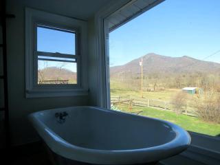 Comfortable Cottage for Large Groups near Bedford, Virginia - 6