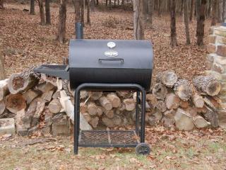 Lakefront Cabin Getaway with Firepit near Ozark National Forest in Scranton, Arkansas - 1