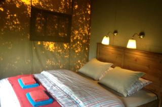 Cozy Safari Tent in Belgium Countryside - 2