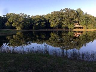 Texas Safari Camp Hummingbird Tree House - 5