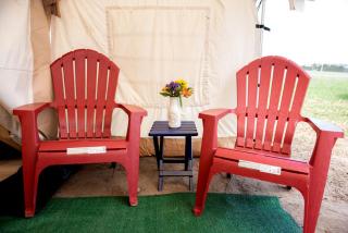 Scenic Northern Michigan Glamping Tent on a Regenerative Farm - 6