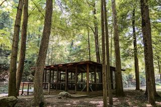Cozy Michigan Cabin Rental at a Historic Homestead - 1