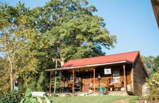Vintage Cabin for a Romantic Getaway near Uwharrie National Forest in Denton, North Carolina - 0
