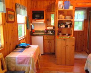 Cozy Cabin Rental on the Santa Fe River near High Springs, Florida - 8