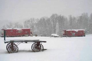 Authentic Caboose in the Blue Ridge Mountains of Virginia - 9