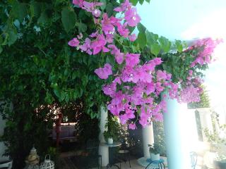 Peggy's Villa-House with private pool 25' from Athens Intl Airport - Dhráfi - 5