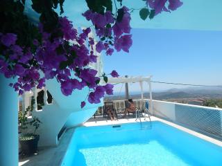 Peggy's Villa-House with private pool 25' from Athens Intl Airport - Dhráfi - 0
