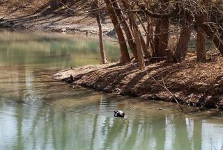 Charming Family-Friendly Cabin Rental by Guadalupe River near New Braunfels, Texas - 1