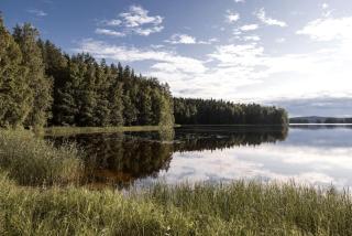 Rustic Off-Grid Farmhouse on Private Island with Sauna near Lake Tarjanne, Pohjaslahti, Finland - 8