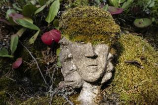 Rustic Off-Grid Farmhouse on Private Island with Sauna near Lake Tarjanne, Pohjaslahti, Finland - 5