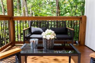 Stylish Lakehouse with Black-and-White Modern Design near Lake Hartwell, Clemson SC - 4