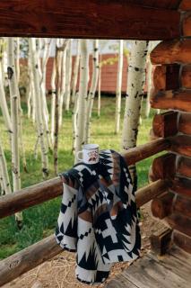 Colorado Glamping Adventures in Golden Gate Canyon Park, in this Cute Cabin Rental - 4