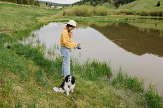 Colorado Glamping Adventures in Golden Gate Canyon Park, in this Cute Cabin Rental - 1
