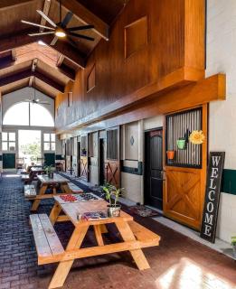 Stay in a Converted Horse Stall Suite with Private Bath, Breakfast & Farm Views Near Old Hickory Lake - 9