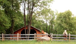 Rustic Log Cabin Rental in Adirondack Park near Lake Ontario - 3