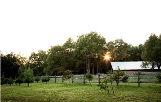 Rustic Log Cabin Rental in Adirondack Park near Lake Ontario - 1