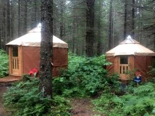 Nature Escape in an Alaskan Glamping Village for Family Fun - 0