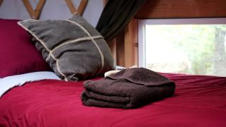 Nature Escape in an Alaskan Glamping Village for Family Fun - 4