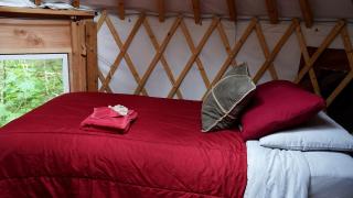 Nature Escape in an Alaskan Glamping Village for Family Fun - 2