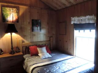 Cozy and Comfortable Cabin Rental Just 15 Minutes from San Antonio, Texas - 7