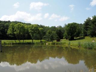Peaceful Safari Tent Rental near Barron Springs, Virginia - 1