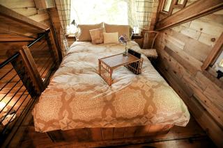 Luxury Cabin for Two with Beautiful River Views near Knoxville - 7