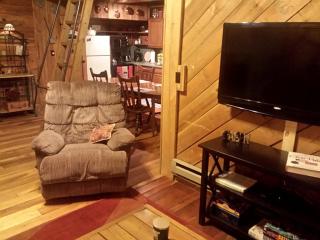 Cozy Vacation Rental with High-Speed Wi-Fi near Seven Springs, Pennsylvania - 1