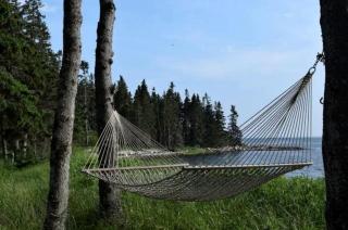 Eco-Friendly Peaceful Cabin with Lofted Interior and Water Views in Maine - 5