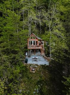 Stunning Pet-Friendly Treehouse for Relaxing Glamping Retreats in North Carolina - 1