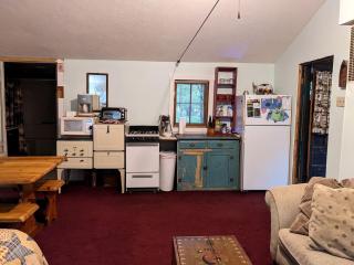 Secluded Rustic Cabin Rental Inside Manistee National Forest in Brethren, Michigan - 2