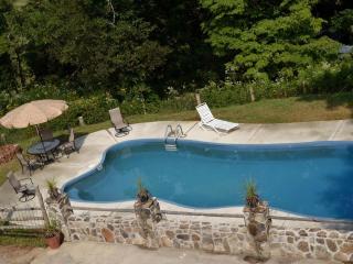 Stately Log Cabin with a Pool for a Group Getaway near Chickamauga, Georgia - 5