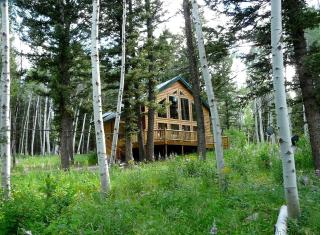 Rustic Family Cabin Nestled Among the Towering Trees in Idaho - 2