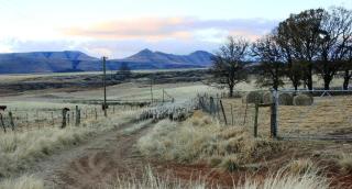 Blarney Stone Cottage - 9