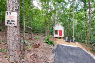Picturesque Tiny Cabin Surrounded by Nature in Alabama - 5