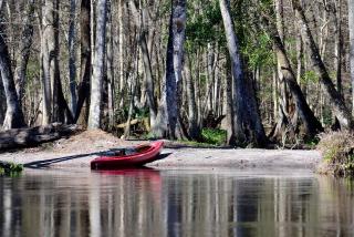 Unique Glamping Rental with Amazing Hiking Trails near Gainesville, Florida - 2